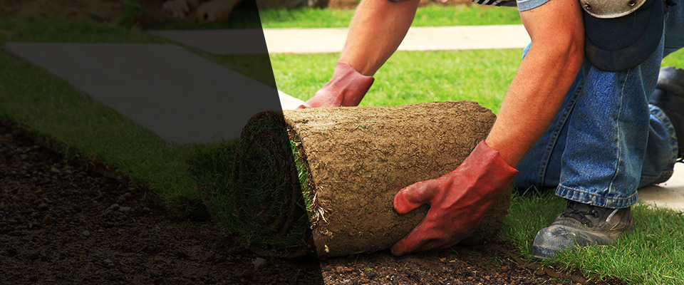 Republic Landscapers